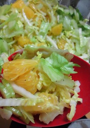 野菜バクバク☆はっさくと白菜のサラダ-レシピのメイン写真