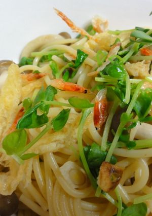 豆苗と桜えびであっさりパスタ！-レシピのメイン写真