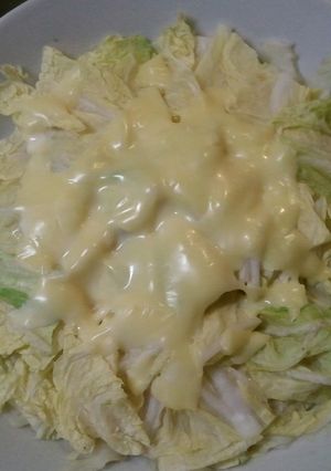 レンチン３分~白菜にのっけてチーズ♪-レシピのメイン写真