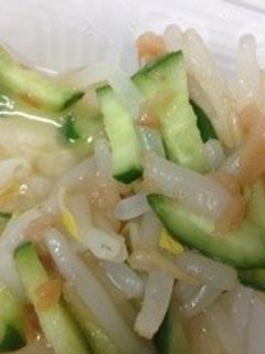 簡単☆もやしときゅうりの梅和え-レシピのメイン写真