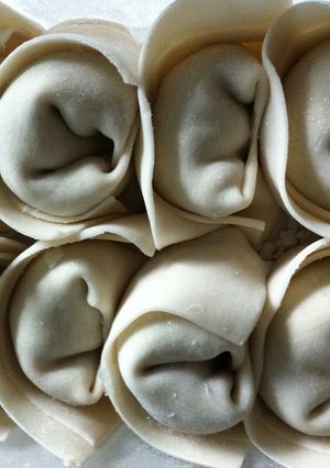 ヤオさんちのワンタン(餃子も可)-レシピのメイン写真