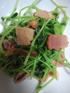 簡単!豆苗のベーコン炒め-レシピのメイン写真