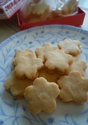 春✿待ち遠し♪お花見クッキー-レシピのメイン写真