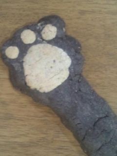 クマさんの手*クッキー-レシピのメイン写真