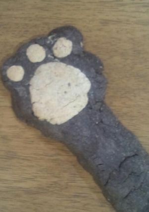 クマさんの手＊クッキー-レシピのメイン写真