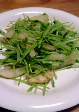 育った豆苗でお弁当のおかず-レシピのメイン写真