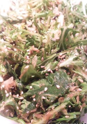 サラダ感覚で！水菜の浅漬け-レシピのメイン写真