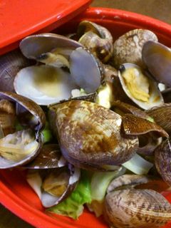 レンジでキャベツとアサリ蒸し-レシピのメイン写真