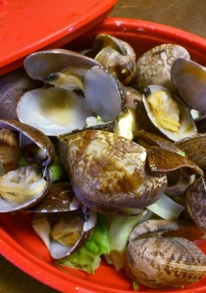 レンジでキャベツとアサリ蒸し-レシピのメイン写真