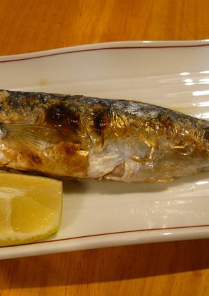 鯵の塩焼き-レシピのメイン写真