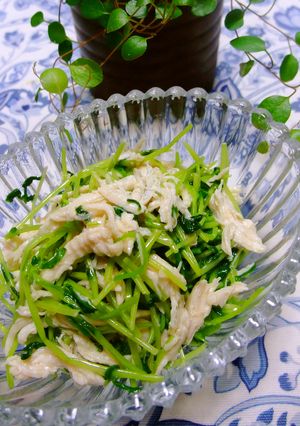 ヘルシー豆苗と鶏ささみのナムル❤おひたし-レシピのメイン写真