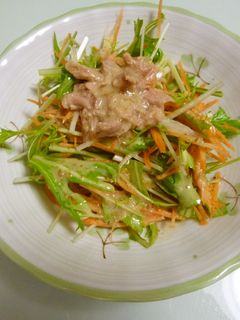 野菜たっぷり★水菜サラダ-レシピのメイン写真