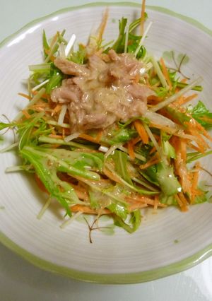 野菜たっぷり★水菜サラダ-レシピのメイン写真
