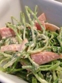 豆苗のピーナッツマヨ和え-レシピのメイン写真