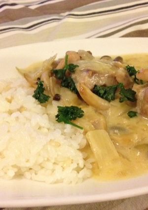 鶏のクリーム煮-レシピのメイン写真