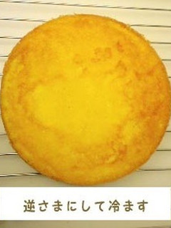 スポンジケーキ-レシピのメイン写真