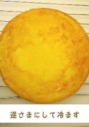 スポンジケーキ-レシピのメイン写真