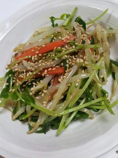 豆苗・にんじん・もやしのナムル風サラダ-レシピのメイン写真