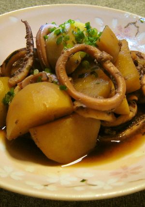 圧力鍋でいかとじゃが芋の煮物-レシピのメイン写真