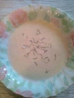 ごぼうスープ-レシピのメイン写真