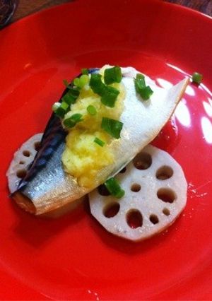 蒸し塩鯖の黄身おろしかけ-レシピのメイン写真