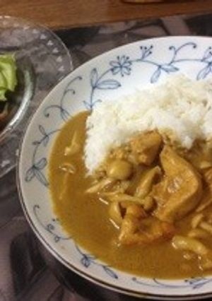 チキンカレーココナッツミルク入り-レシピのメイン写真