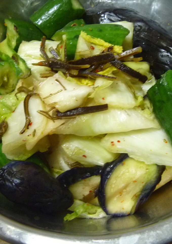 野菜の浅漬け-レシピのメイン写真