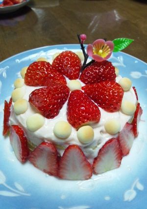 離乳食 ひな祭りケーキ（誕生日）-レシピのメイン写真