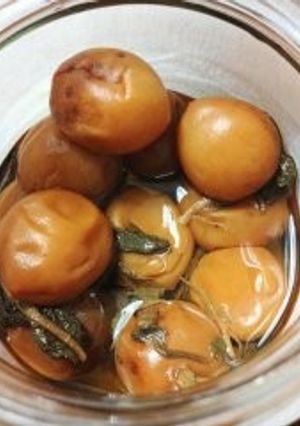 大人も子供も食べやすい！辛くない梅干し-レシピのメイン写真