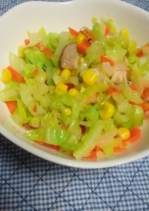 野菜を食べよう　コールスローサラダ-レシピのメイン写真