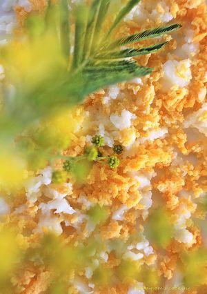 わあきれい！ゆで卵で❁ミモザの花飾り-レシピのメイン写真