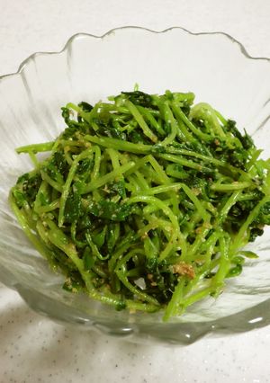 豆苗で簡単ナムル☆-レシピのメイン写真