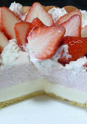 レアチーズと苺ムースのケーキ-レシピのメイン写真