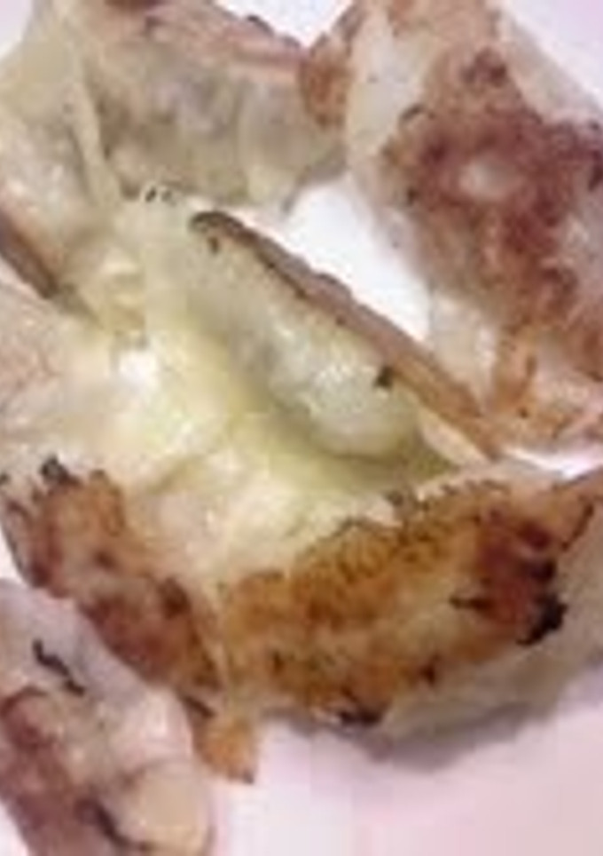手作りのぎょうざの皮-レシピのメイン写真