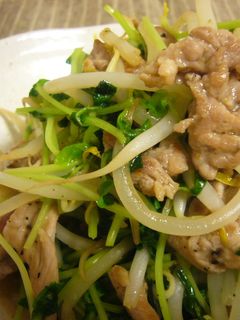☆豆苗ともやしと豚肉の炒め物-レシピのメイン写真