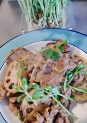 塩麹とカルピスで漬け込んだブタ肉と蓮根-レシピのメイン写真