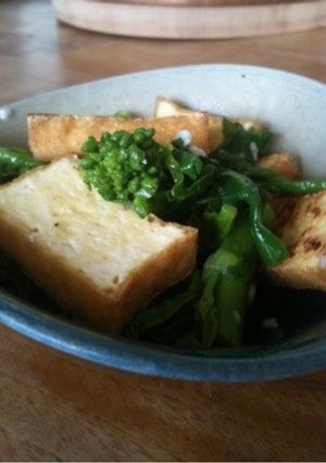 菜の花と厚あげの塩麹あえ-レシピのメイン写真