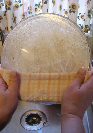 ズボラな私のレンチンした野菜の水切り-レシピのメイン写真