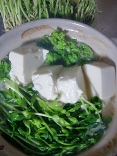 菜の花と豆苗のみそ仕立て-レシピのメイン写真