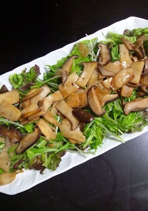 簡単♪きのこソテーのサラダ-レシピのメイン写真