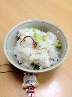 おやじ犬の桜とそら豆の春色おこわ-レシピのメイン写真