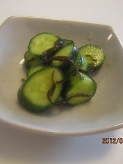 キュウリマジ美味しすぎ-レシピのメイン写真