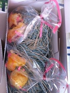 簡単!プレゼントにパイ(o^^o)-レシピのメイン写真