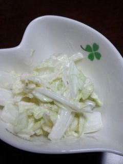 白菜のマヨワサビサラダ-レシピのメイン写真