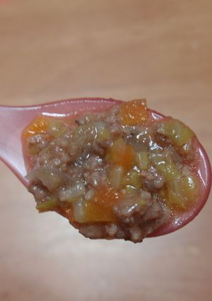 離乳食後期 牛肉と白菜のオイスター煮　-レシピのメイン写真