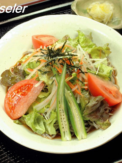 冷かけサラダ蕎麦-レシピのメイン写真