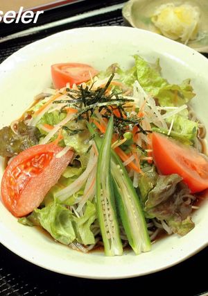 冷かけサラダ蕎麦-レシピのメイン写真