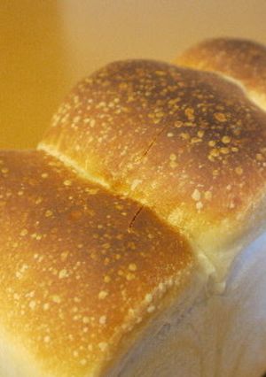 自家製酵母で豆乳山食-レシピのメイン写真