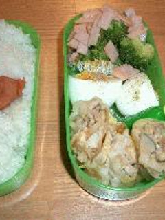 春巻き弁当-レシピのメイン写真