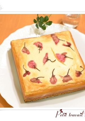 桜咲く*チーズケーキ-レシピのメイン写真